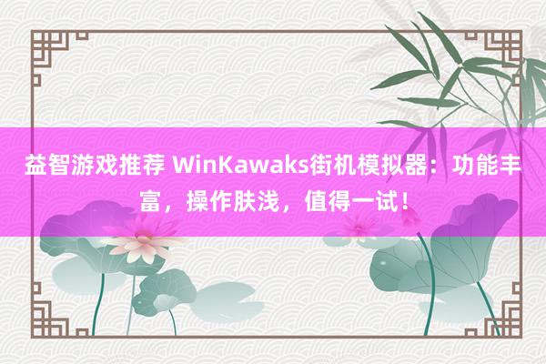 益智游戏推荐 WinKawaks街机模拟器：功能丰富，操作肤浅，值得一试！